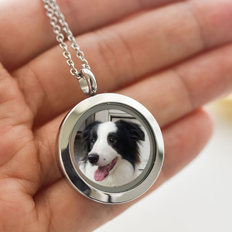 Custom Pet Portrait Necklace - Memorial Keepsake for Pet Fur, Teeth, and Ashes - Personalized Name Gift