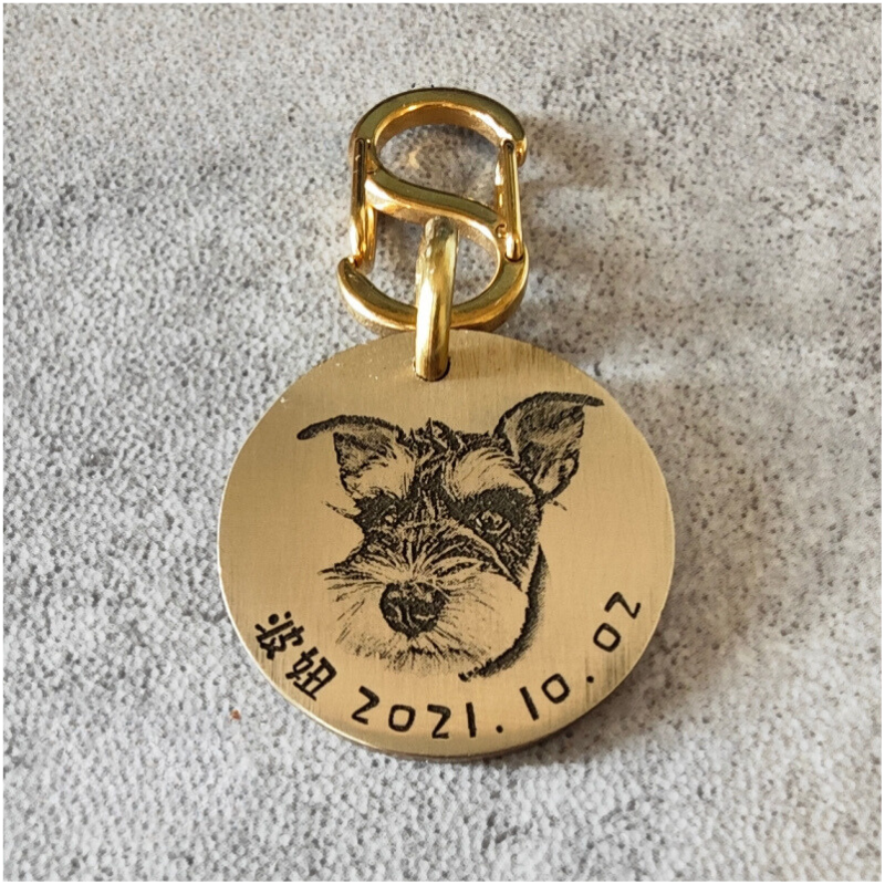 Etiqueta de identificación para mascotas con foto grabada personalizada - Regalo conmemorativo para gatos y perros - Llavero colgante